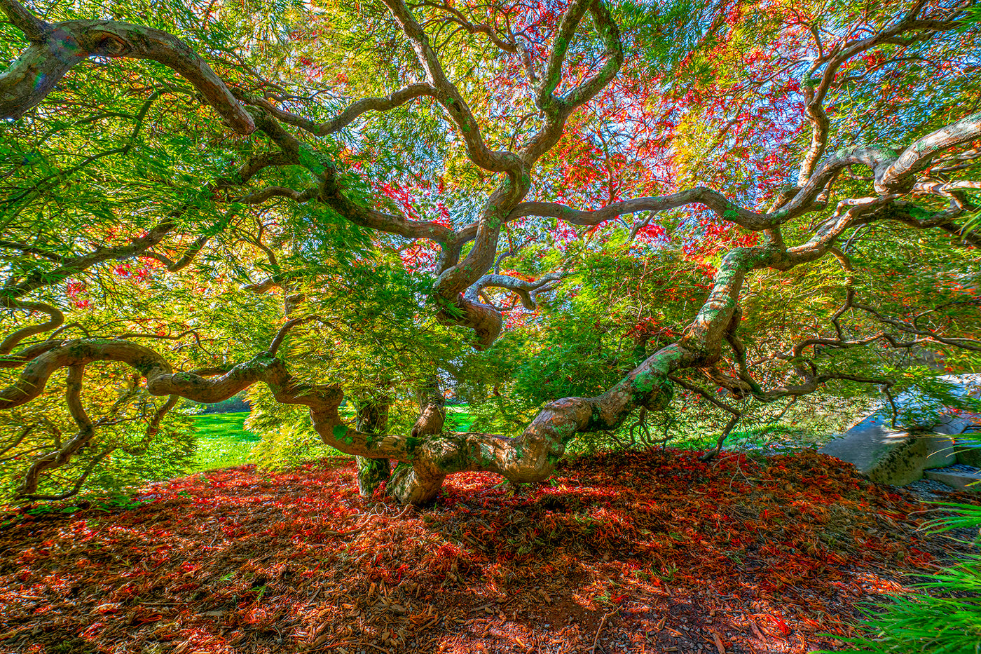 Essence of Fall