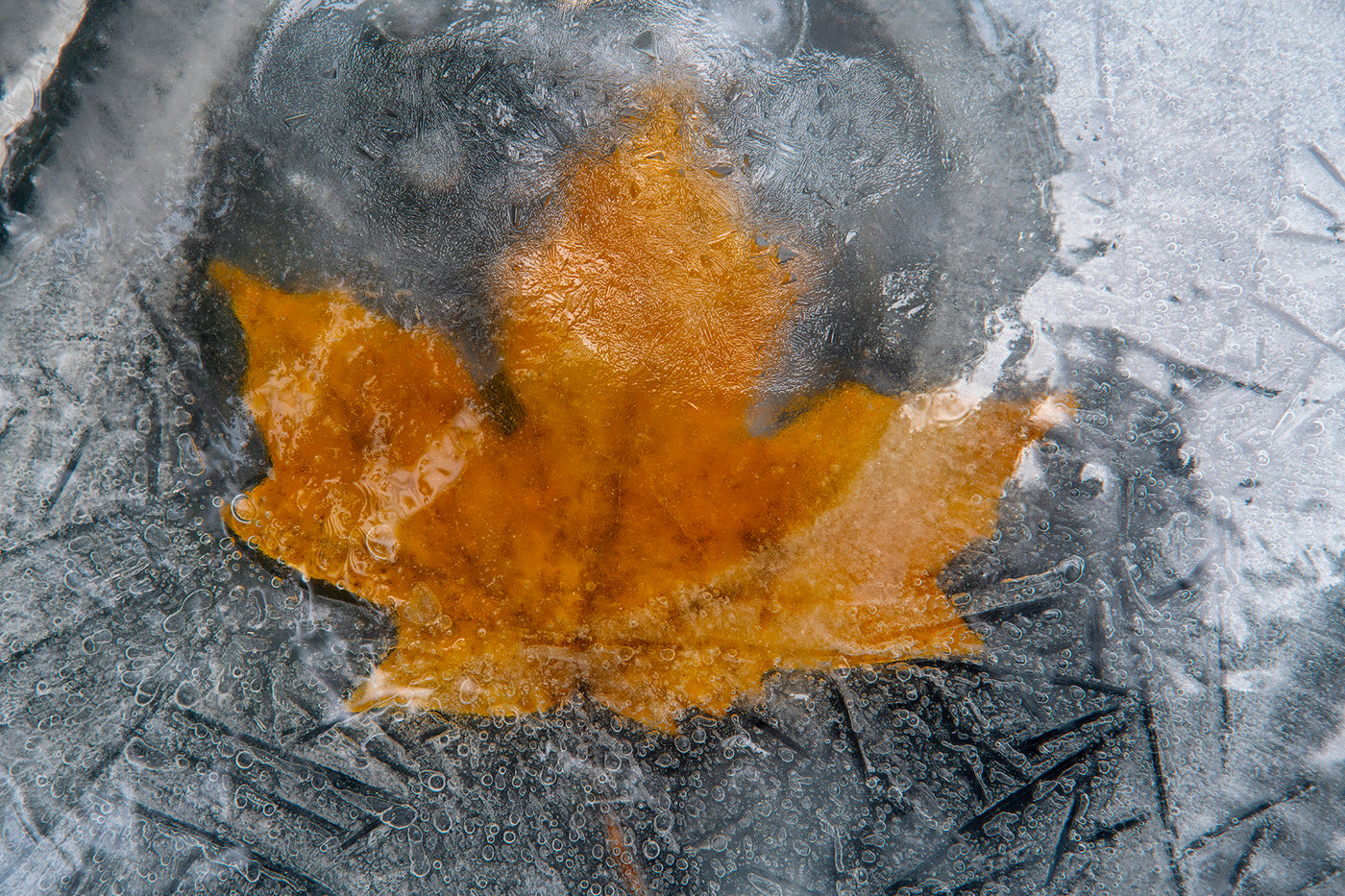 Frozen