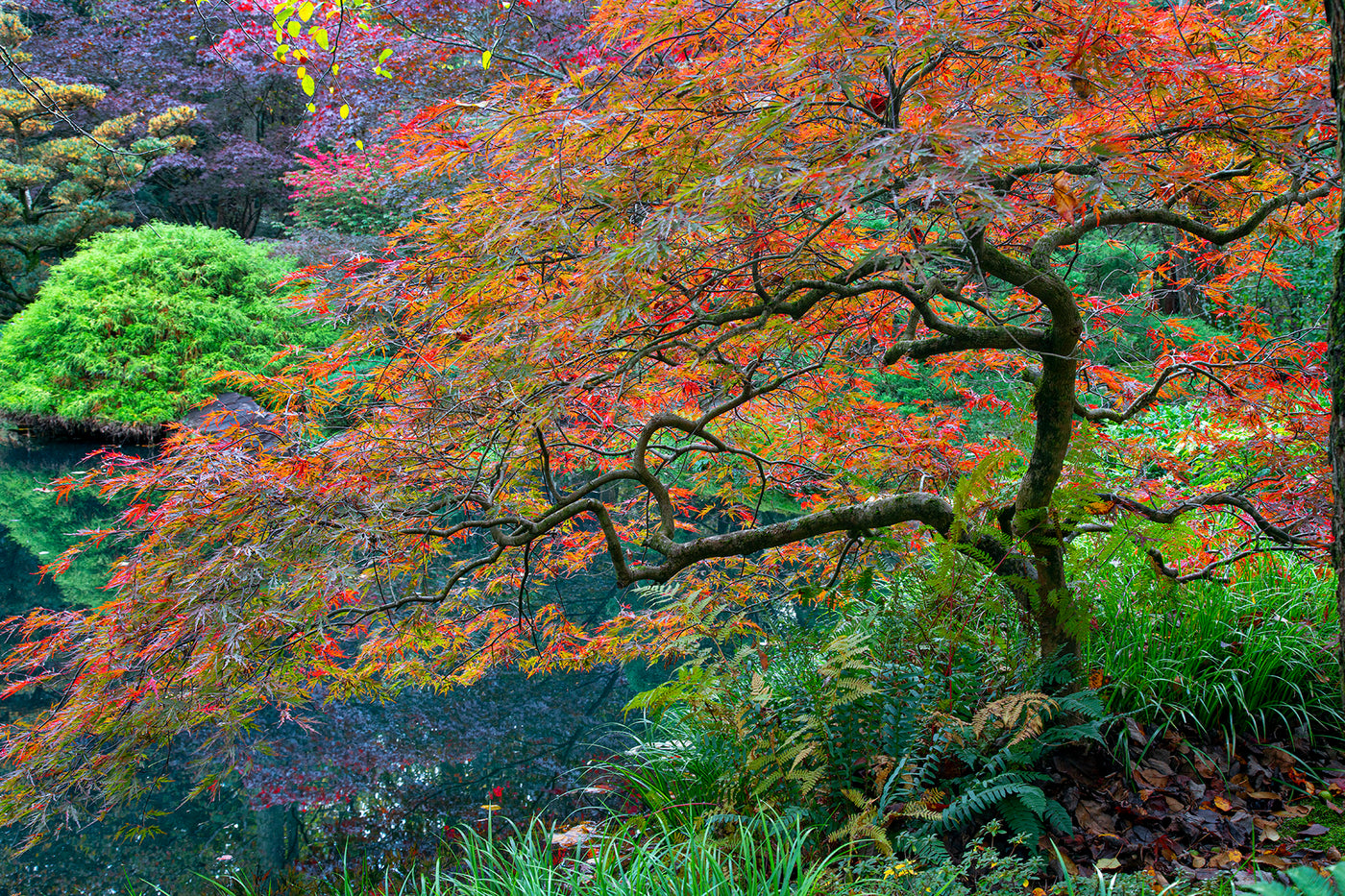 Garden Mosiac