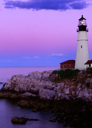 Guardian of The Night