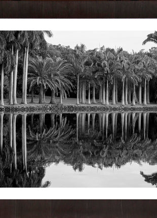 Royal Splendor
