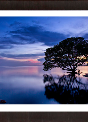 Dreamscape