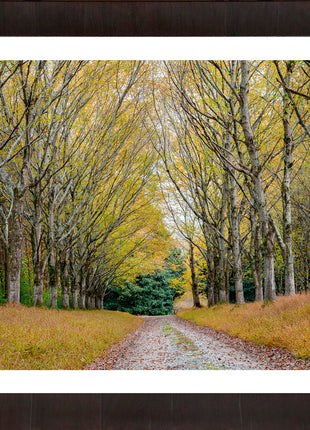 Golden Pathway