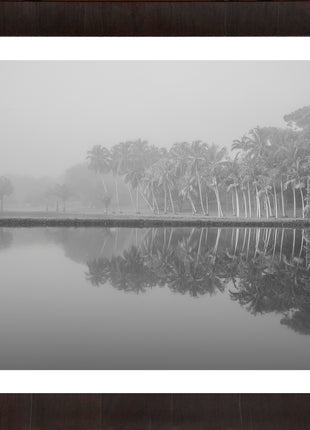 Royal Lake Reflections
