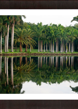 Royal Splendor Color