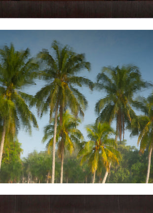 Tropic Flare