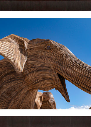 Elephants at The Beach