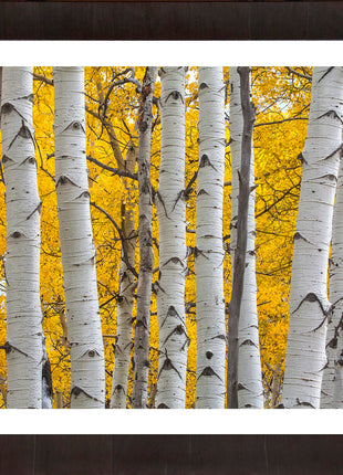 Seasons Glow