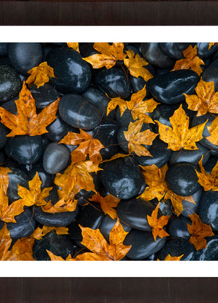 Echoes of Fall