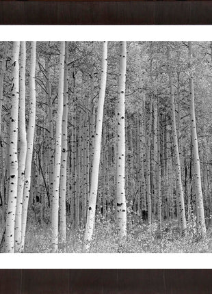 Aspen Highlands
