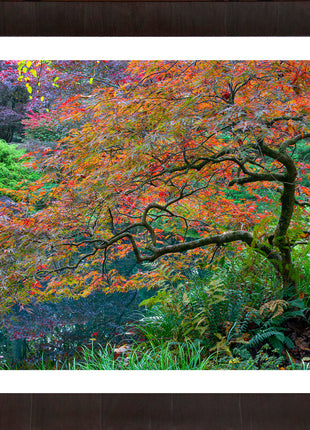 Garden Mosiac