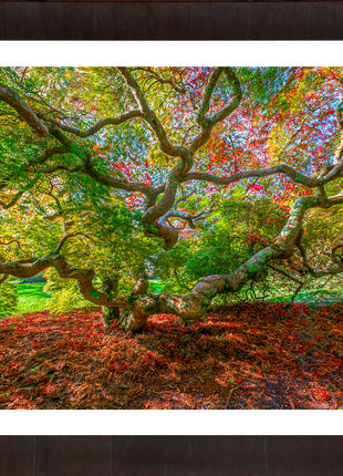 Essence of Fall