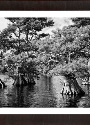 Blue Cypress Lake