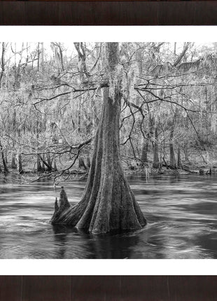 Santa Fe River