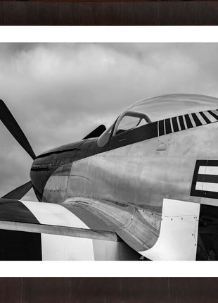 Enforcer Standard Black and White