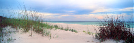 Hidden Paradise