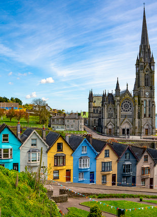 Irish Painted Ladies