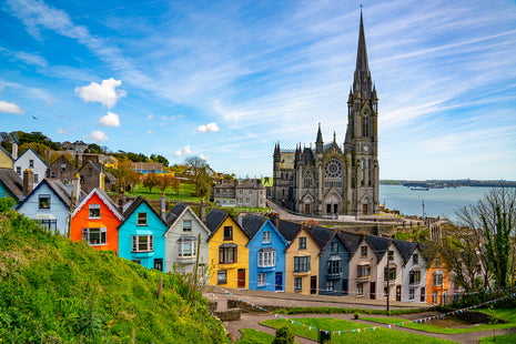 Irish Painted Ladies