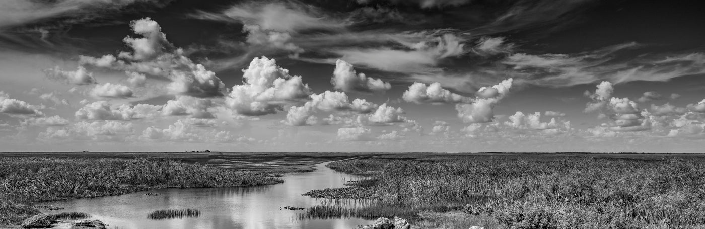 Journey into The River of Grass