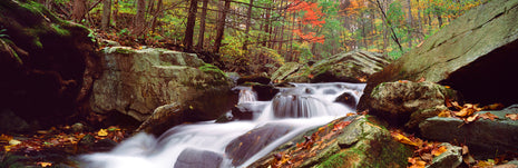 Linville Falls