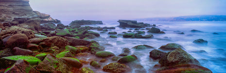 The Mist