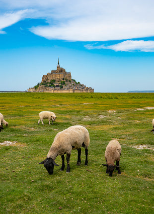 Mont Saint Michel
