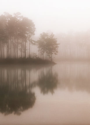 Morning Mist