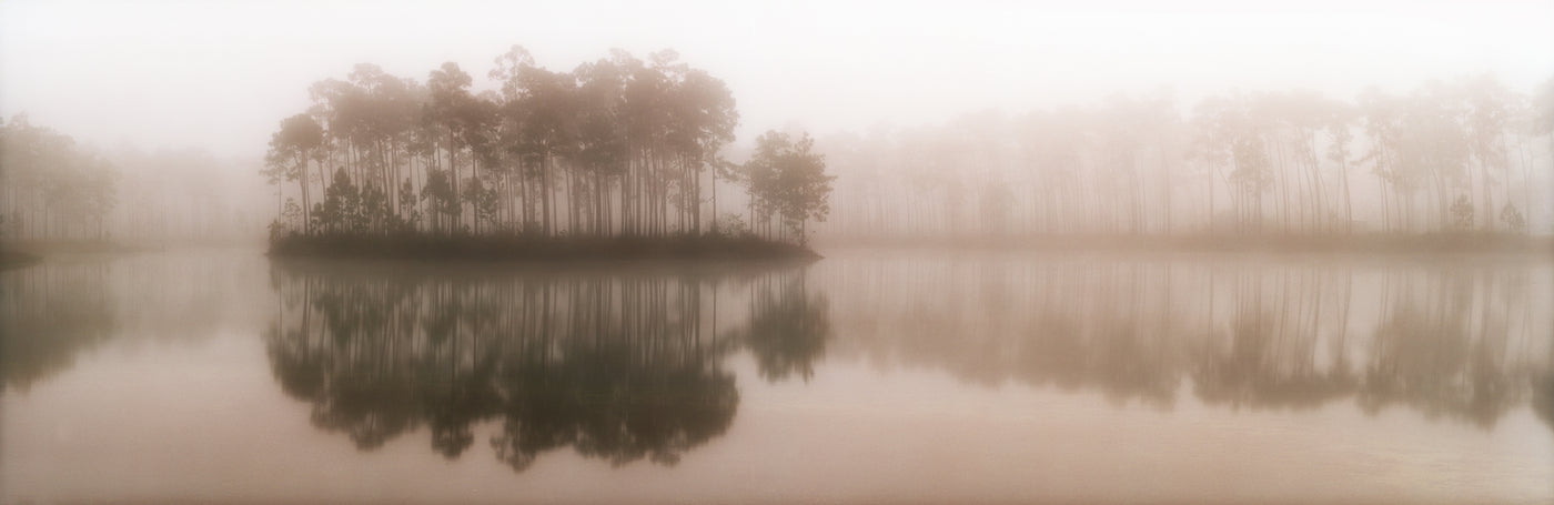 Morning Mist