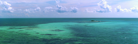Oceanic Splendor