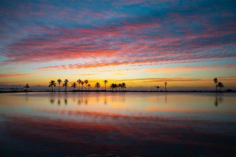 Painted Skies