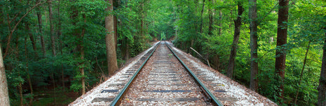 Riding The Rails