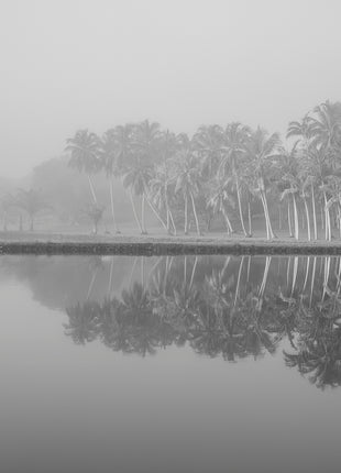 Royal Lake Reflections
