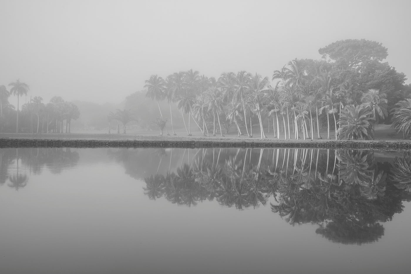 Royal Lake Reflections
