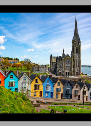 Irish Painted Ladies