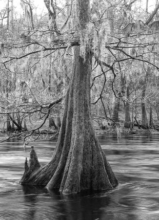 Santa Fe River