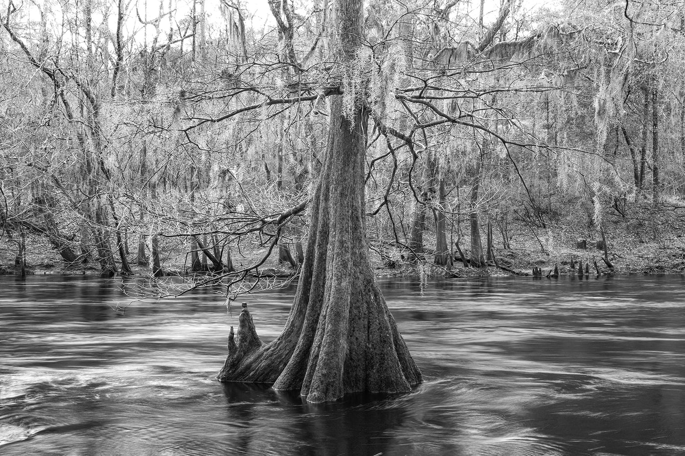 Santa Fe River