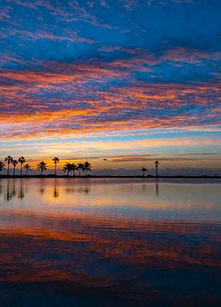 Southern Sunrise