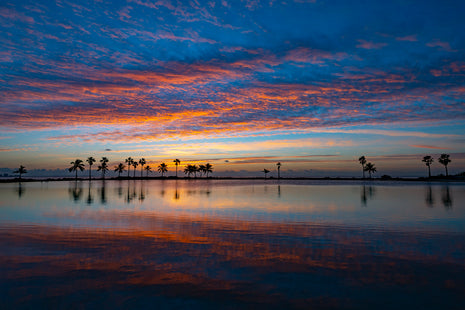 Southern Sunrise