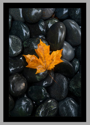 Simplicity