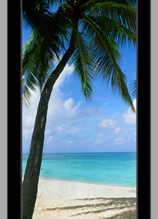 Palm Cove