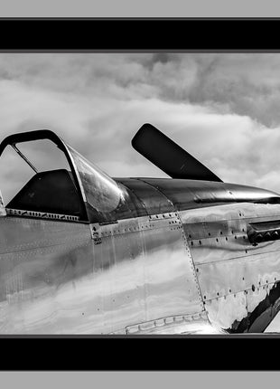 Warbird