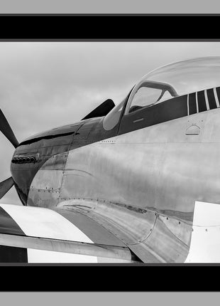 Enforcer Black and White