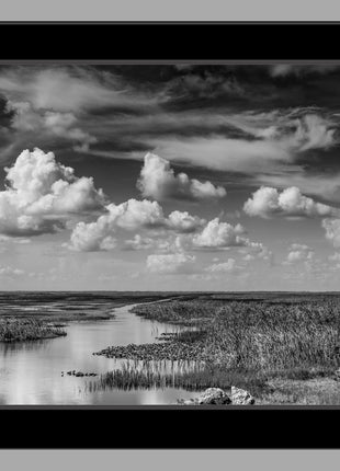 Journey into The River of Grass