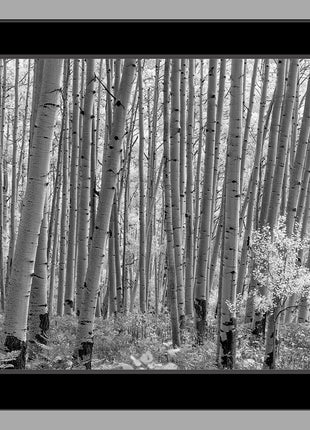 Mcclure Pass