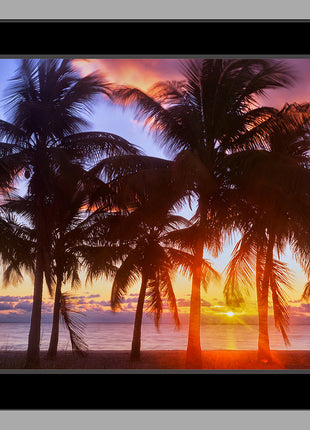 Tropical Sunrise