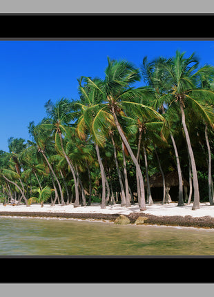 Stranded