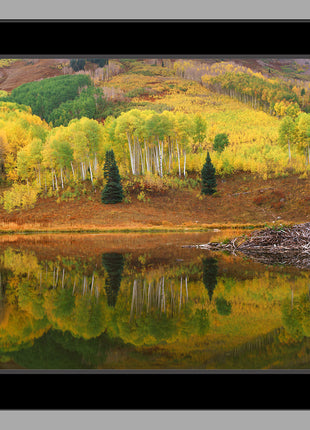 Beaver Pond