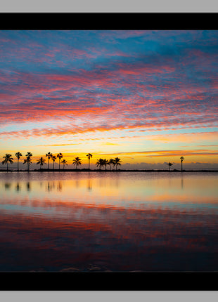 Painted Skies