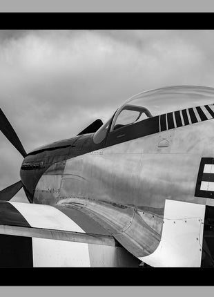 Enforcer Standard Black and White