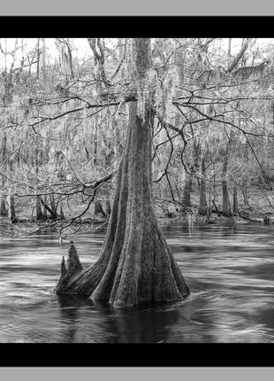 Santa Fe River